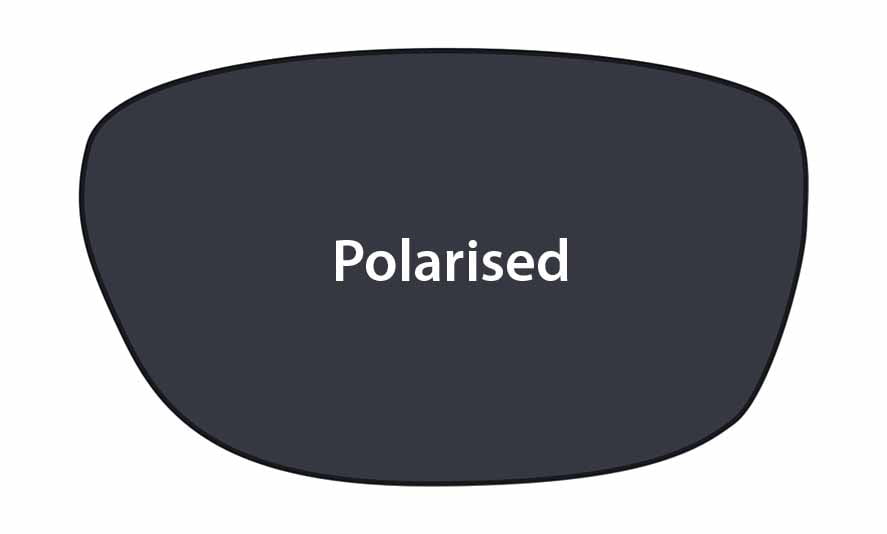 Polarised (Grey)